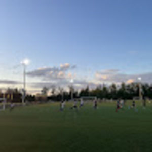 Meet your Posher, Sophia